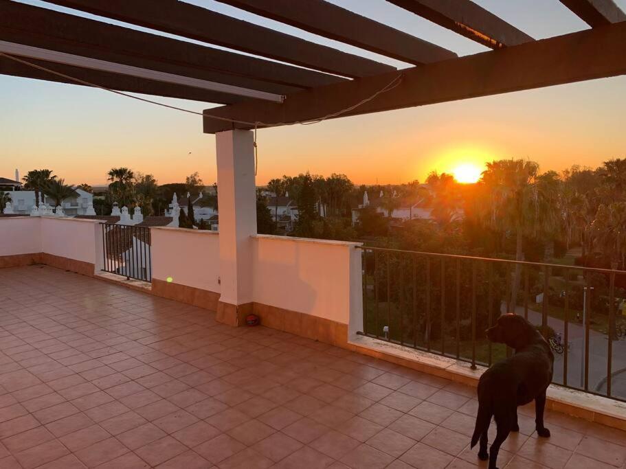 Atico Costa Ballena - Cadiz Rota Ngoại thất bức ảnh